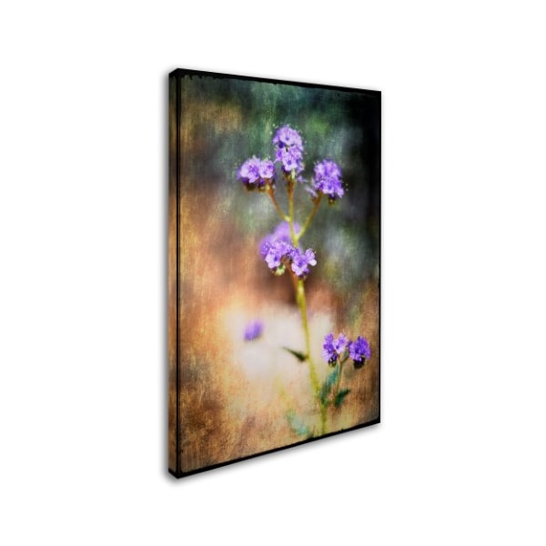 LightBoxJournal 'Desert Flower 2' Canvas Art,22x32